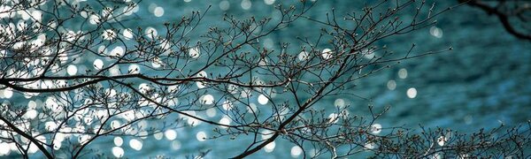 До +24°С прогрелся воздух в Приморье в понедельник