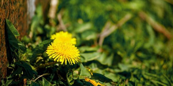 Погода в Приморье налаживается