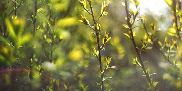 Последняя рабочая неделя апреля в Приморье завершается хорошей погодой