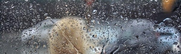 В первый рабочий день мая в Приморье будут идти дожди