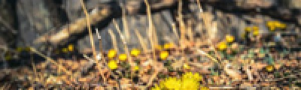 Погода в выходные дни порадовала приморцев теплом