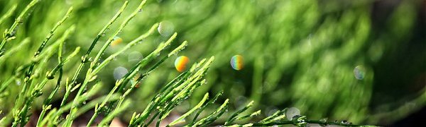 В Приморье идут кратковременные грозовые дожди