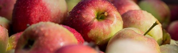 Жителей Владивостока приглашают на ярмарку 10 и 11 августа