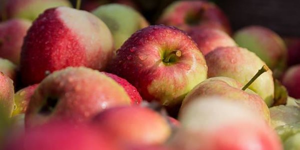 Жителей Владивостока приглашают на ярмарку 10 и 11 августа