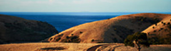 В Австралии набирает силу жара