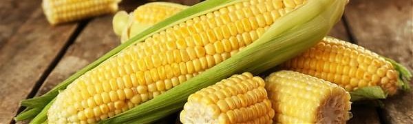 Через 10 лет человечество столкнётся с голодом