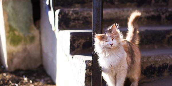 Завтра в Приморье вернётся солнечная погода