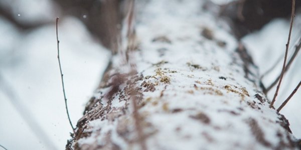 В среду в Приморье продолжит идти небольшой снег