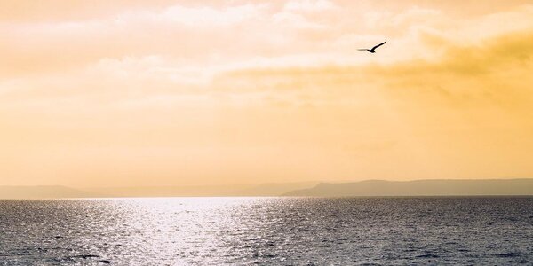 К выходным вода в Амурском заливе прогреется до +25°C