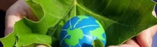 Всероссийский субботник «Зелёная Россия» состоится во Владивостоке 29 апреля