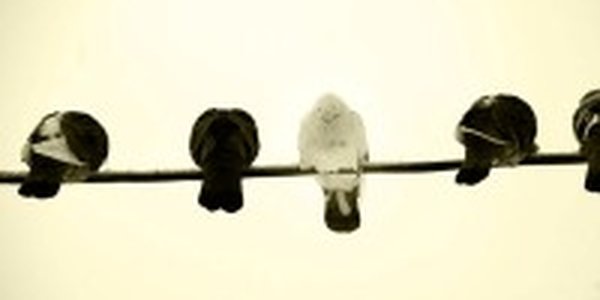 Сегодня во Владивостоке не будет дождя