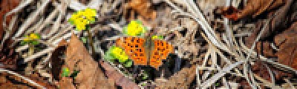 Погода на выходных будет солнечной и теплой