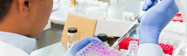 Учёные из ДВФУ нашли лекарство от рака в морском огурце