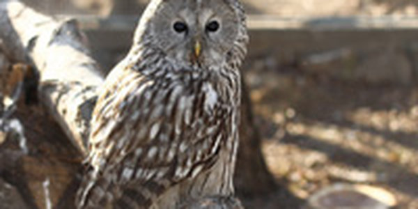 В выходные юг Дальнего Востока будет находиться под влиянием антициклона