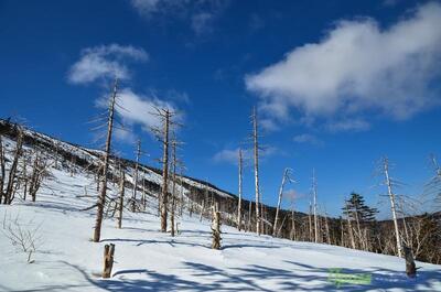 Высота снежного покрова в Приморье достигает 24 см