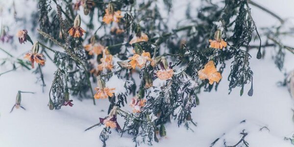 Облачно, временами снег: прогноз погоды на выходные в Приморье