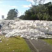 После циклона на Австралию выплеснулся прибрежный «капучино»