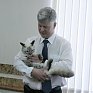 Екатеринбургский кот-политик провел встречу с мэром