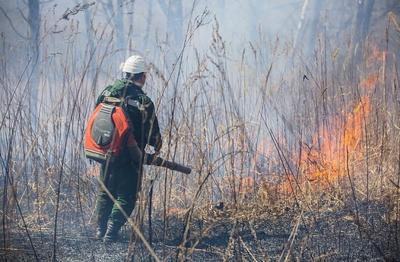 Особый противопожарный режим введён ещё в трёх районах Приморья