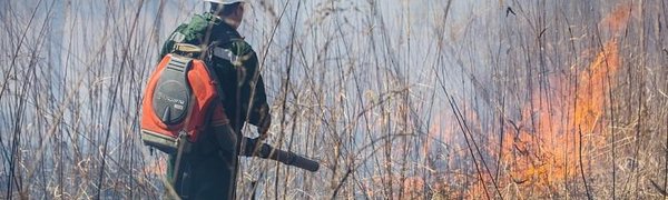 Особый противопожарный режим введён ещё в трёх районах Приморья