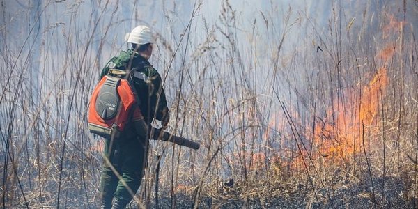Особый противопожарный режим введён ещё в трёх районах Приморья