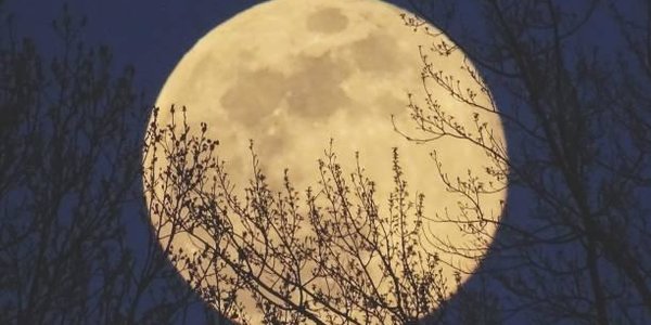 В ночь на 20 февраля россияне увидят суперлуние года