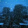 Завтра во Владивостоке и Приморье ожидается снег