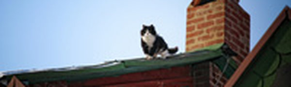 Во Владивостоке установилась ветреная и холодная погода