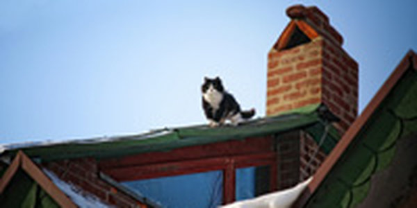 Во Владивостоке установилась ветреная и холодная погода