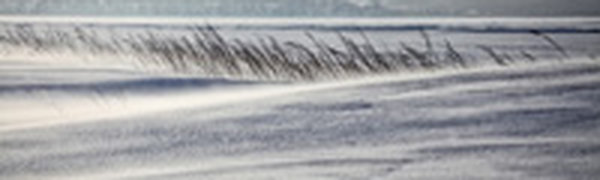 Где в Приморье больше всего снега