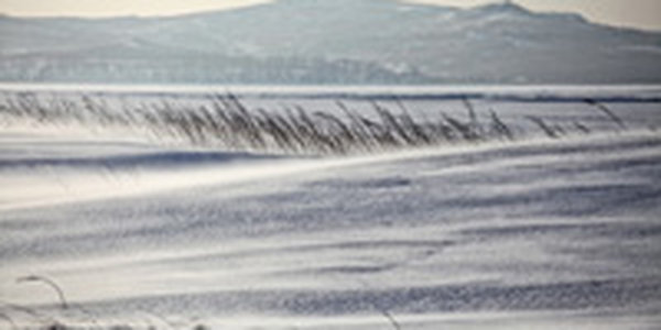 Где в Приморье больше всего снега