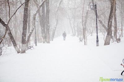 Наиболее интенсивный снег пройдёт в Приморье в среду