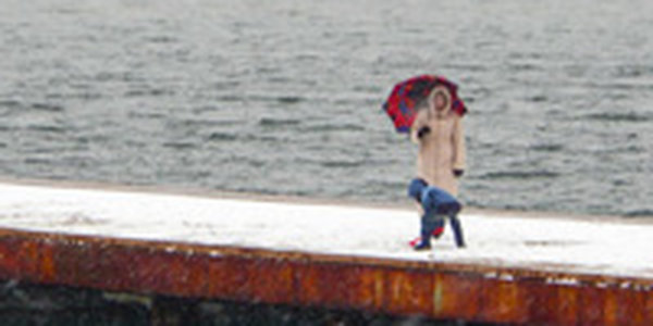 Больше всего осадков в выходные пришлось на западные и центральные районы