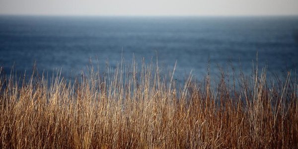 Завтра в Приморье снова станет теплее, существенных осадков не ожидается