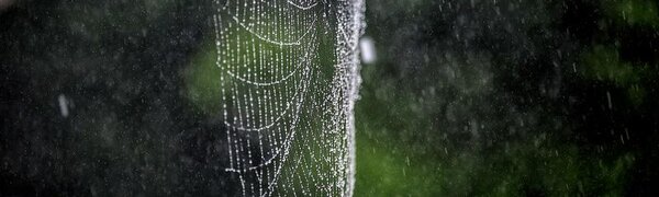 Короткая рабочая неделя начнется с циклона в Приморье