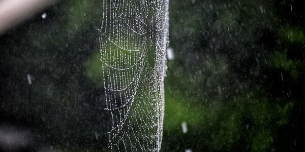 Короткая рабочая неделя начнется с циклона в Приморье