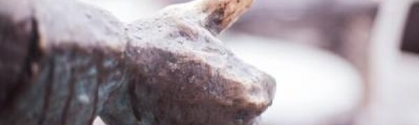 Дождливая пасмурная пятница ожидается в Приморье