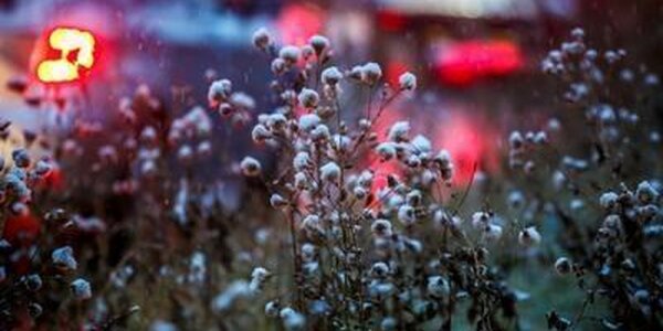 Короткая рабочая неделя завершается дождями в Приморье