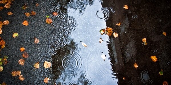 Завтра во Владивостоке возможен небольшой дождь
