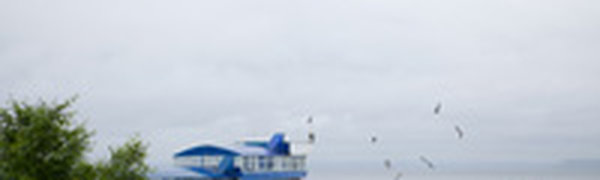 Июнь попрощался с Приморьем дождями и туманами