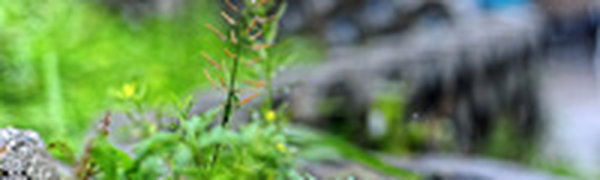 В Приморье ожидается ухудшение погодных условий