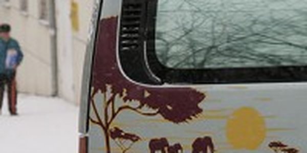 Январь в Приморье был холодным и бесснежным