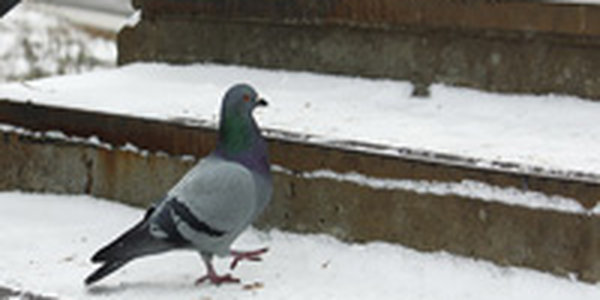 В выходные дни в Приморье потеплеет