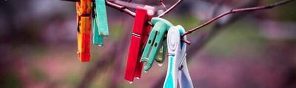 Сегодня ночью в ряде районов Приморья столбики термометров упали до -5 °С