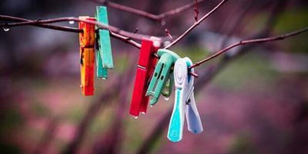 Сегодня ночью в ряде районов Приморья столбики термометров упали до -5 °С