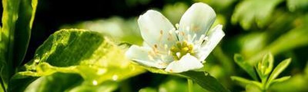 Стал известен прогноз погоды в Приморье на выходные