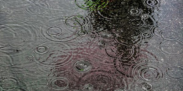 Прошедшие дожди улучшили пожароопасную обстановку в Приморье