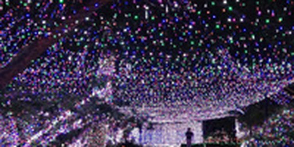 В Австралии установлен мировой рекорд по числу рождественских огней