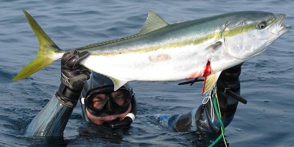 Кубок Тихого океана по подводной охоте состоится 13–16 сентября в Приморье