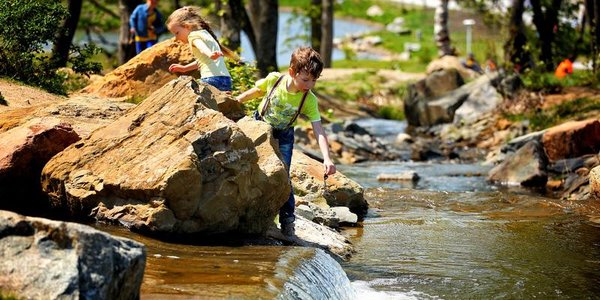 Во Владивостоке самым тёплым днём на этой неделе будет пятница